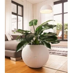 Apaļš pods Lechuza Puro 50 1