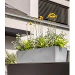 Nerūsējošā tērauda Lechuza katls Balconera Steel 50 3