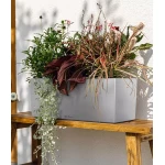 Nerūsējošā tērauda Lechuza katls Balconera Steel 50 1