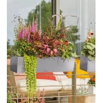 Nerūsējošā tērauda Lechuza katls Balconera Steel 80 3