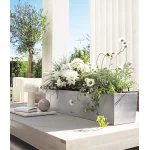 Nerūsējošā tērauda Lechuza katls Balconera Steel 80 1