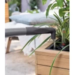 Lechuza pods zems dabīgais koks Palo 35 2