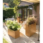 Lechuza pods zems dabīgais koks Palo 35 1