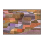 plaunamas kilimas namams 1