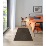 rudas kiliminis takas plaunamas