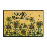 plaunamas duru kilimelis geles 1