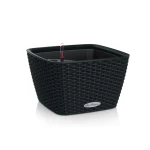 juodas vazonas lechuza bacino