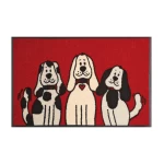 duru kilimeliai namams su suniukais