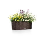 lovelis gelems lechuza balconera 7