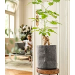 Gudrais puķu pods Lechuza TRENDCOVER Filcs 1