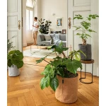 Gudrais puķu Pods Lechuza Trendcover Korķis 1