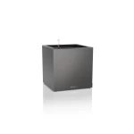 pilkas lechuza canto premium vazonas 2