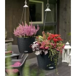 Piekarināms stādītājs Lechuza Nido Cottage 35 3