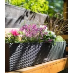 lechuza lovelis gelems balconera cottage 1