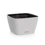 vazonas lechuza baltas