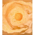 vonios bomba mango 1