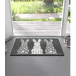 Mazgājams durvju paklājs Bunny Trio 1