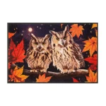 Durvju paklājs ar pūcēm Night Owls