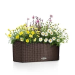 lovelis gelems lechuza balconera 7