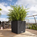 Puķu pods Lechuza Cube Cottage 30 1