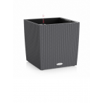 Augu pods Lechuza Cube Cottage 50