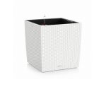 Augu pods Lechuza Cube Cottage 50