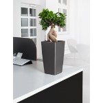 Puķu pods Lechuza Cubico 22 6