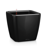 Ziedu pods Lechuza Quadro 21