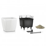 Ziedu pods Lechuza Quadro 21 3