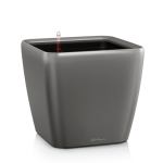 Ziedu pods Lechuza Quadro 21