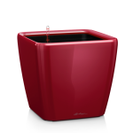 Ziedu pods Lechuza Quadro 21