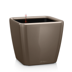 Ziedu pods Lechuza Quadro 21