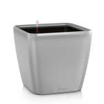 Ziedu pods Lechuza Quadro 21