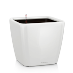 Ziedu pods Lechuza Quadro 21