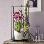 Stilīgs plastmasas pods orhidejām Lechuza Orchidea 1