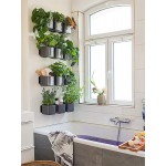 Zaļo augu sienas komplekts Cube Glossy 5