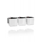 Zaļo augu sienas komplekts Cube Glossy