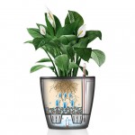 Klasiskais pods Lechuza Classico LS  1
