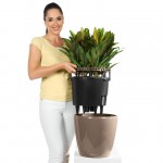 Klasiskais pods Lechuza Classico LS  3