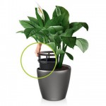 Klasiskais pods Lechuza Classico LS  5