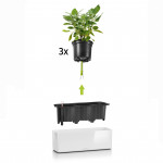 Viedais pods Lechuza Cube Glossy Triple 3