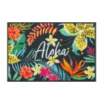 Durvju paklājiņš Wash + Dry Aloha