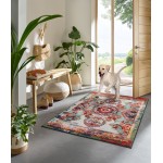 Durvju paklājs Wash + Dry Grandioso 5