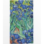 Dvielis Vincent Van Gogh Īrisi