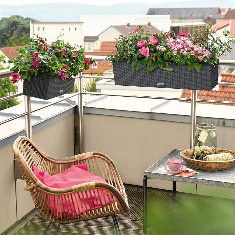 Liels puķu kaste Lechuza Balconera Cottage 80 7 Liels puķu kaste Lechuza Balconera Cottage 80 7