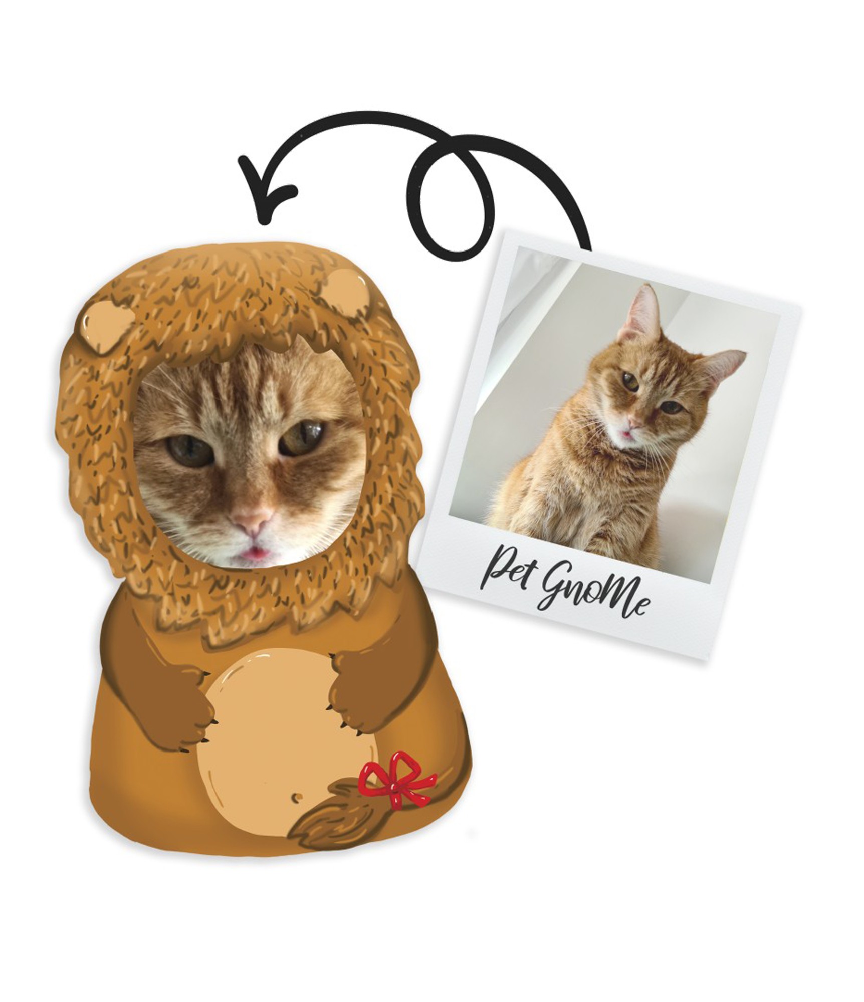 Personalizēts suņu spilvens Leo