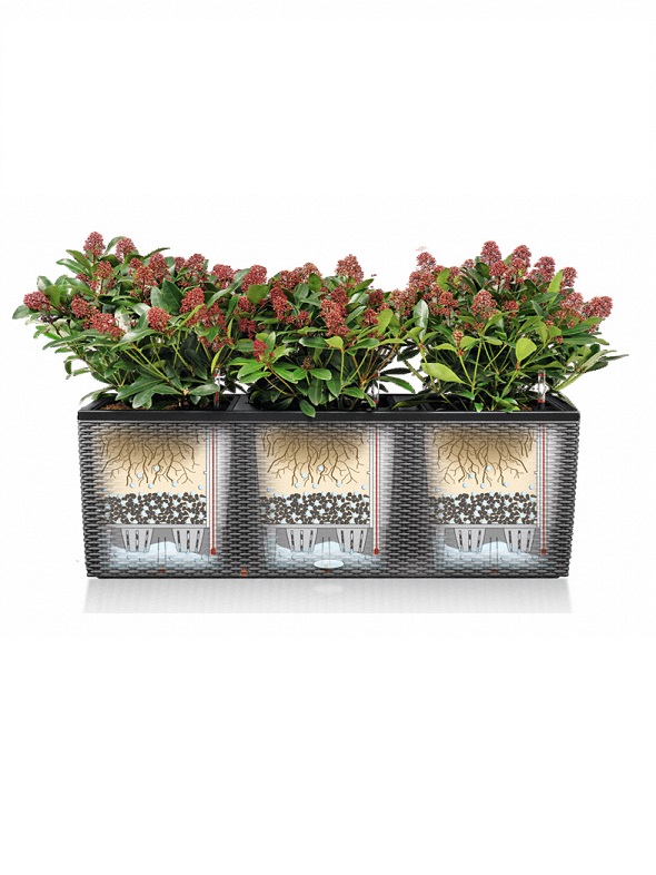 Āra puķu pods Lechuza Trio Cottage 6 Āra puķu pods Lechuza Trio Cottage 6