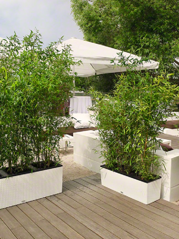 Āra puķu pods Lechuza Trio Cottage 3 Āra puķu pods Lechuza Trio Cottage 3