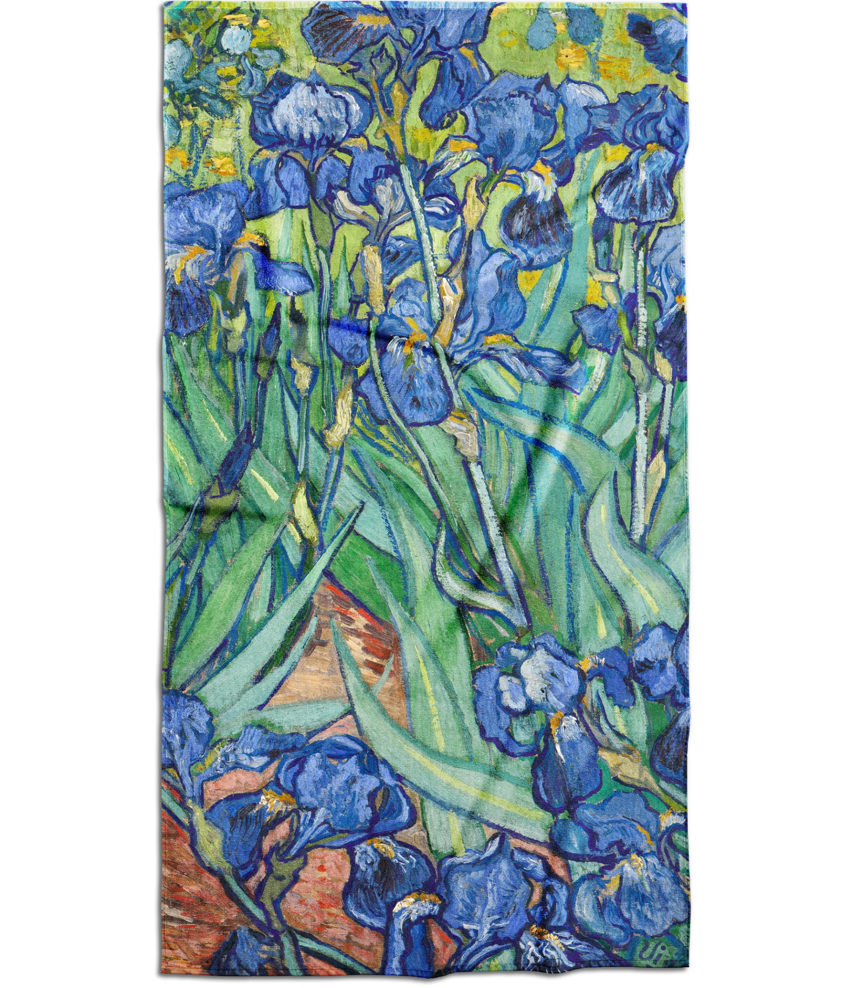 Dvielis Vincent Van Gogh Īrisi Dvielis Vincent Van Gogh Īrisi
