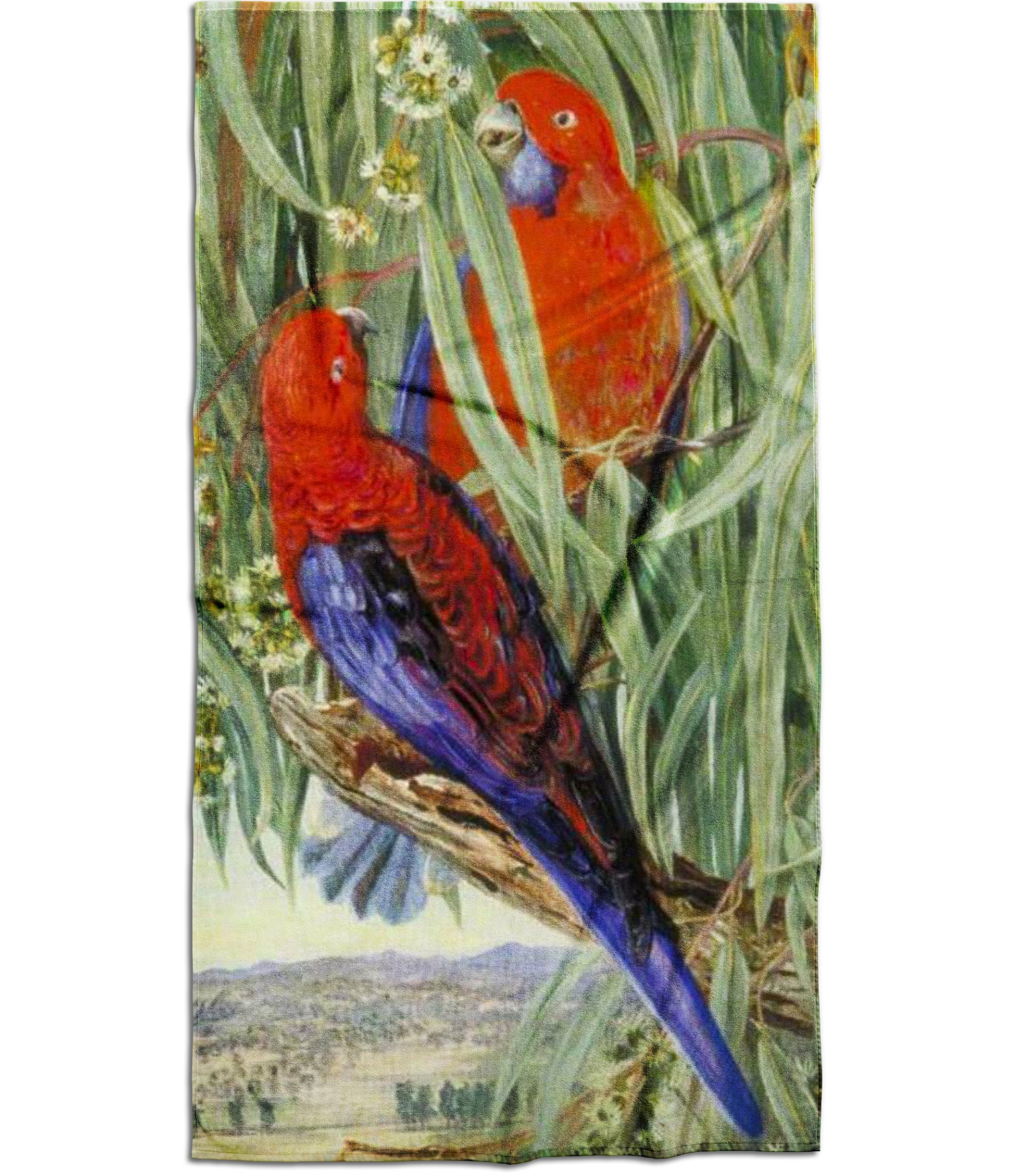 rankšluostis su papūgomis